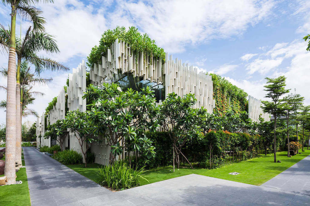 Ảnh minh họa: Thiết kế Biophilic.