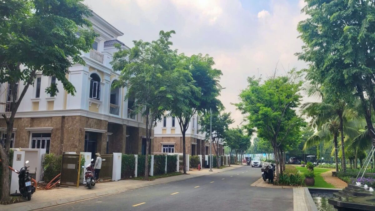 thực tế đảo kim quy