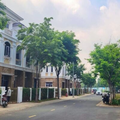 ĐẢO KIM QUY CÙ LAO TÂN VẠN